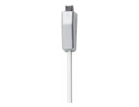 2227EO.1220.SP28 Surface Vertical Rod Device | Image 2